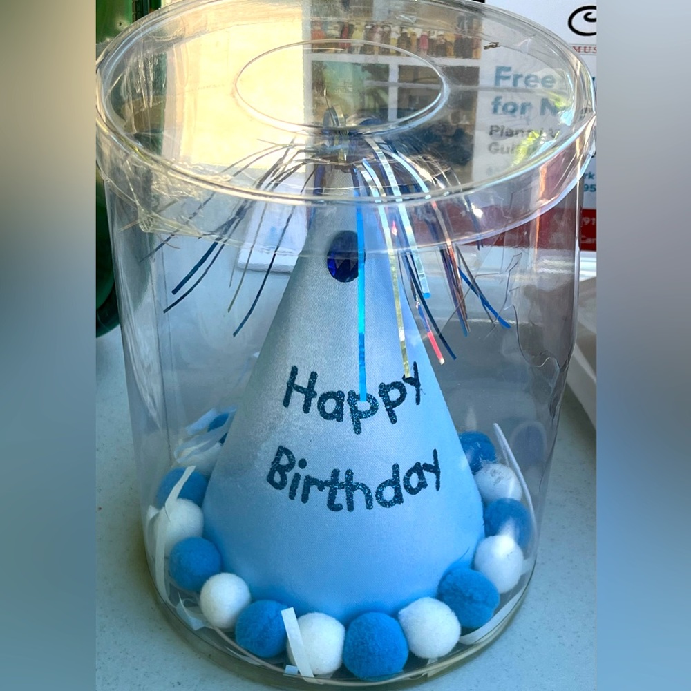 Birthday 🥳 Party Hat